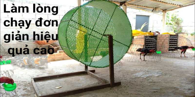 Cách làm chuồng chạy cho gà đá phát huy tối đa năng lực thần kê