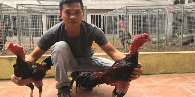 Cách làm chuồng chạy cho gà đá từ sư kê chuyên nghiệp